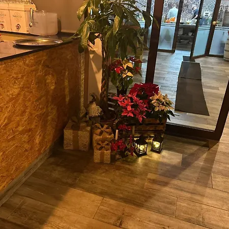 Olivo De Reis Caldas De Reis