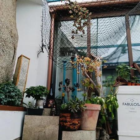 Olivo De Reis 게스트하우스 3*