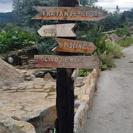 Olivo De Reis بيت ضيافة 3*