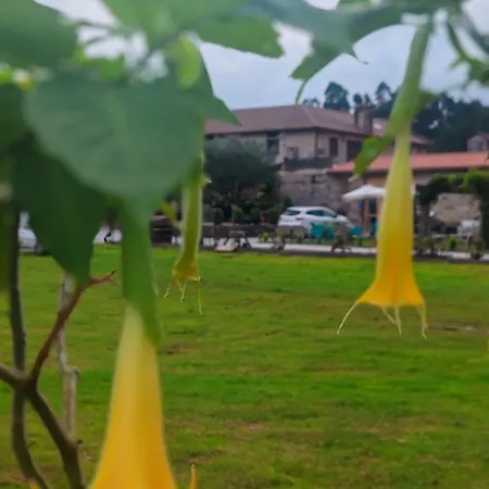 Olivo De Reis بيت ضيافة كالداس دي ريس