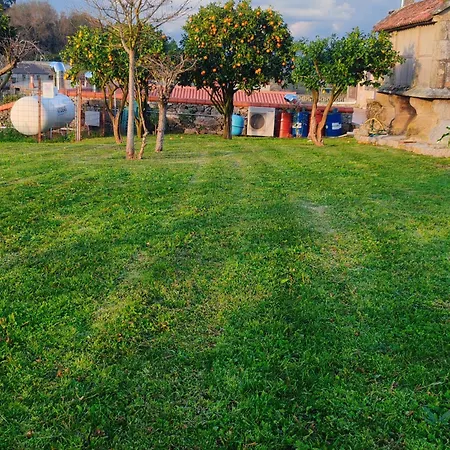 Olivo De Reis
