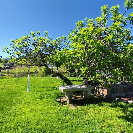 Olivo De Reis Caldas De Reis