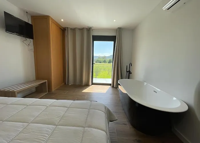 Olivo De Reis 3*