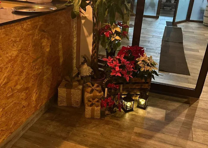 Olivo De Reis Caldas De Reis