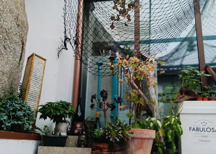 Olivo De Reis Konukevi 3*